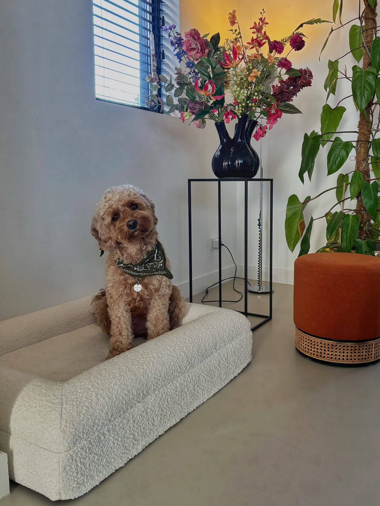 Hondenkussen Orthopedisch - Bouclé Wit + Haarverwijderaar Bundel