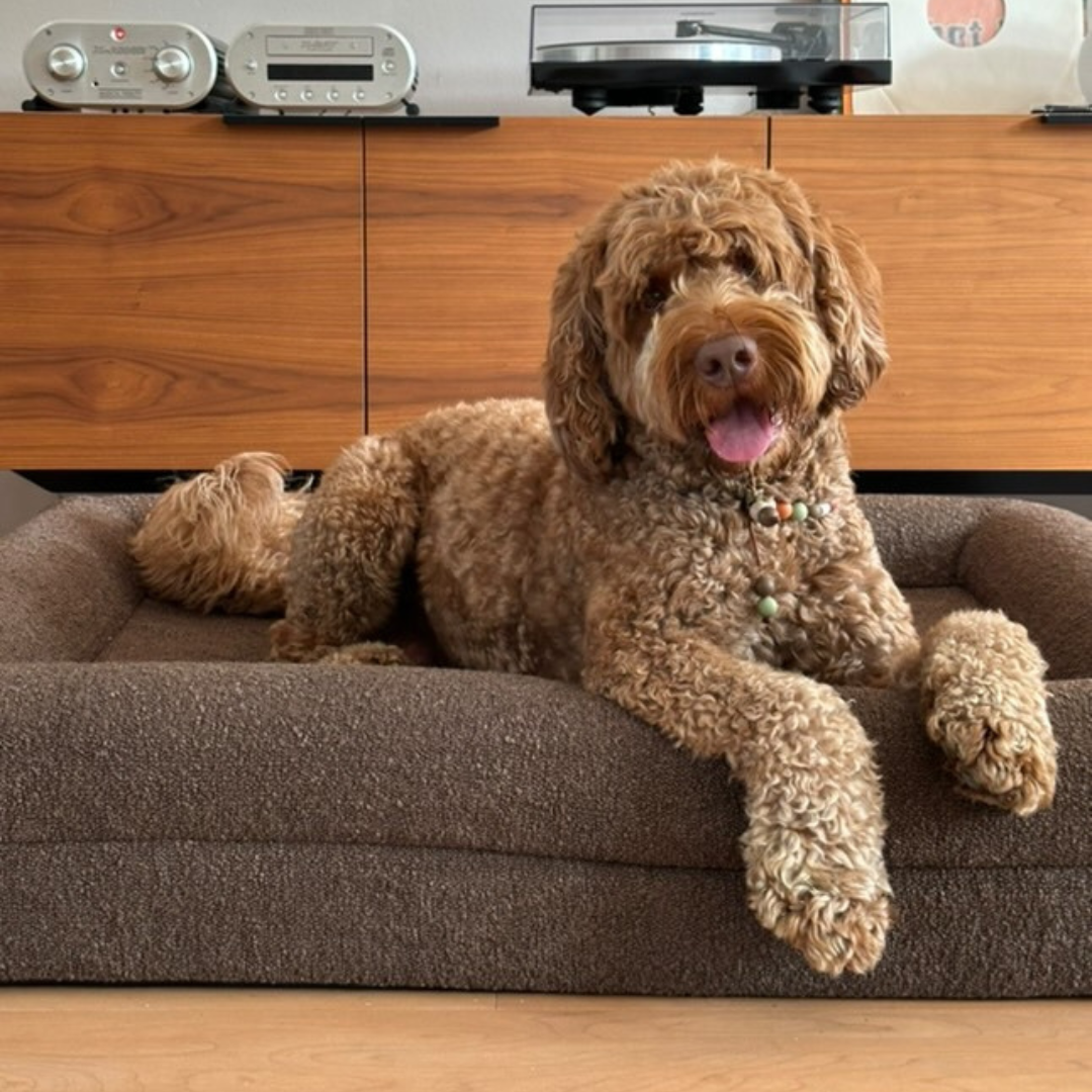 Hondenkussen Orthopedisch - Bouclé Choco Bruin