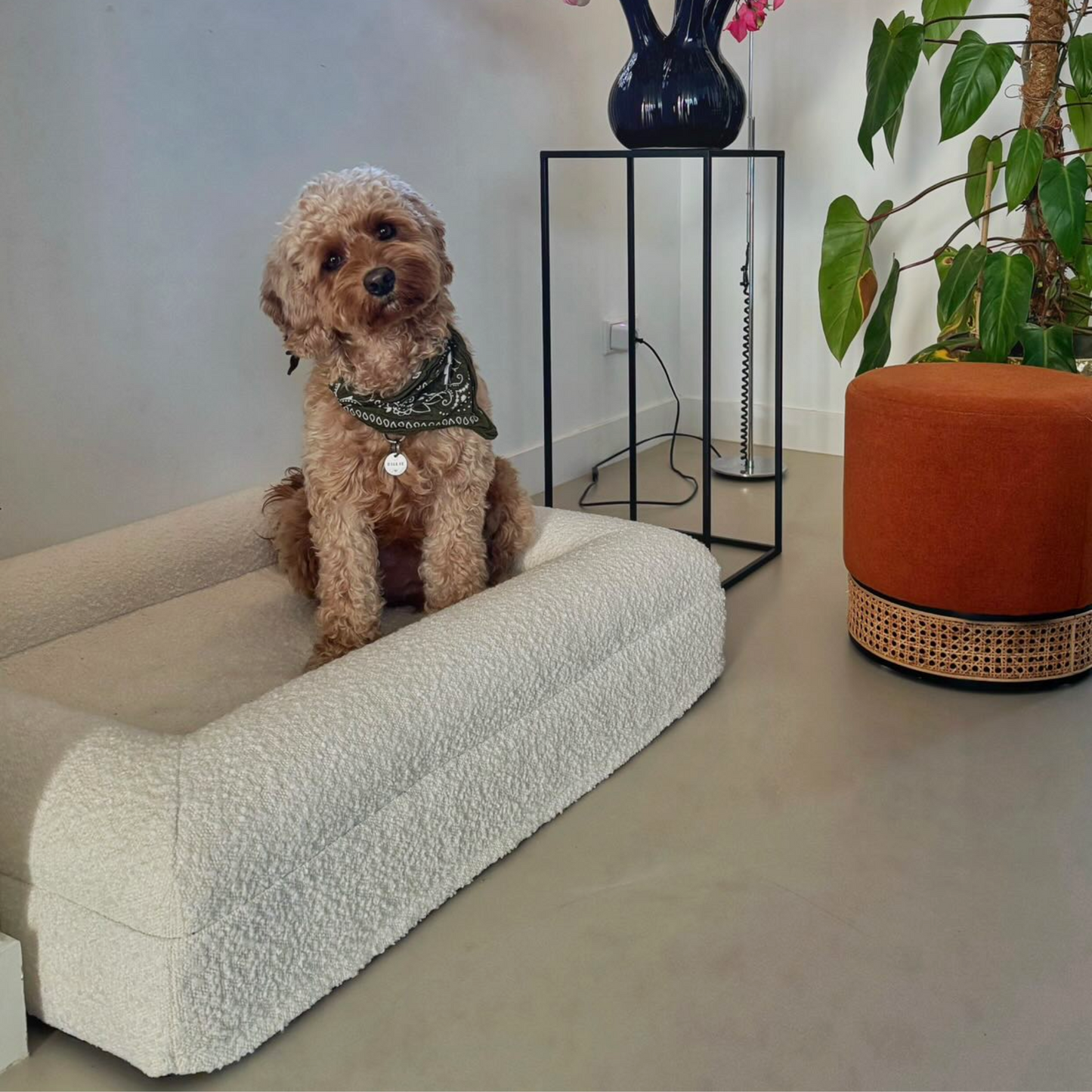 Orthopedic Dog Cushion - White Bouclé