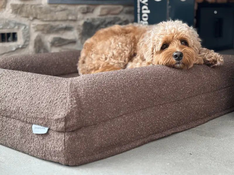 Hoes - Bouclé Choco Bruin - Dreamydog - Hoes