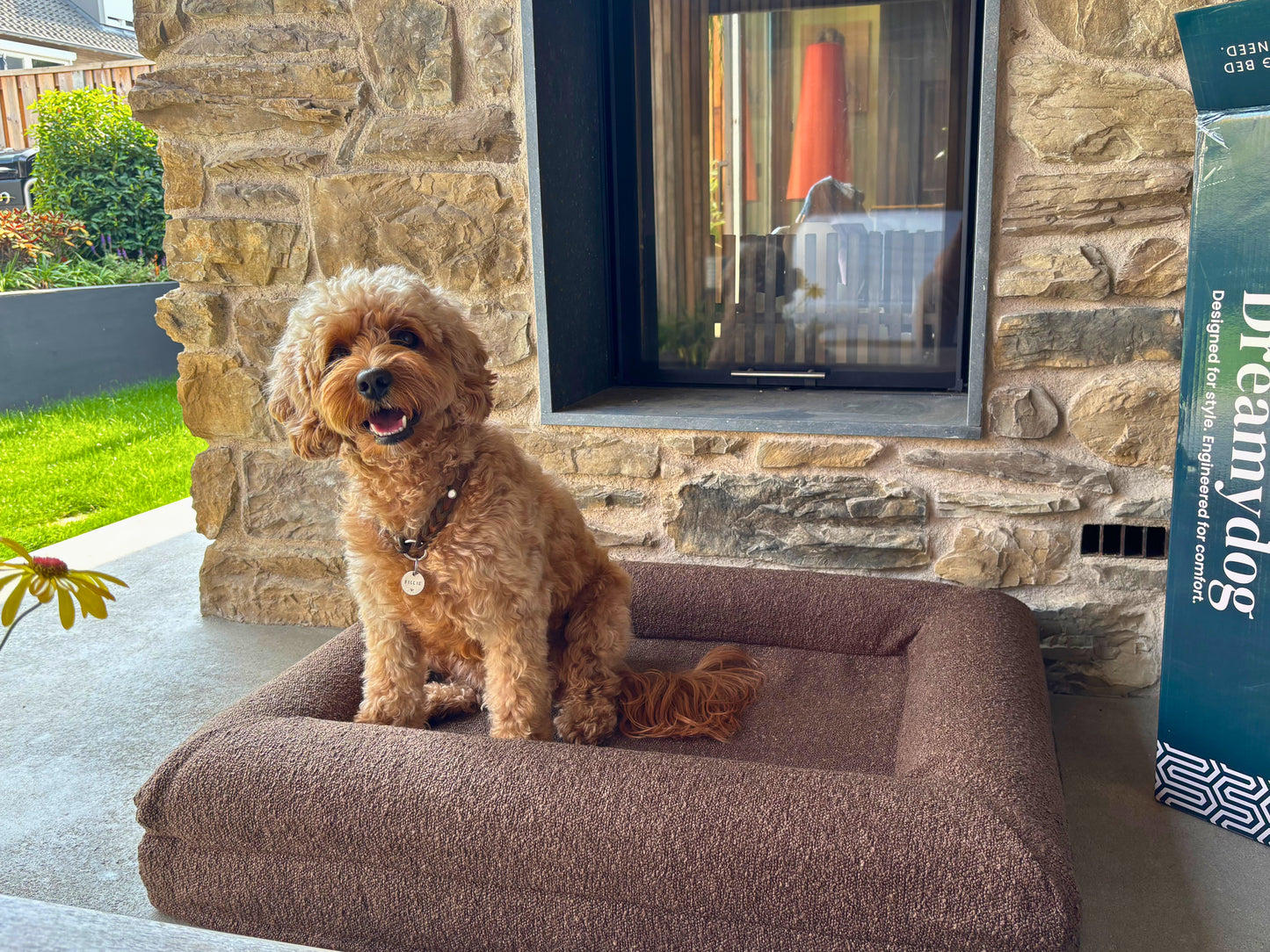 Hondenkussen Orthopedisch + Extra Hoes Bundel