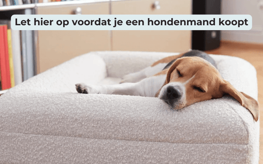 Let hier op bij het kopen van een orthopedische hondenmand - Dreamydog