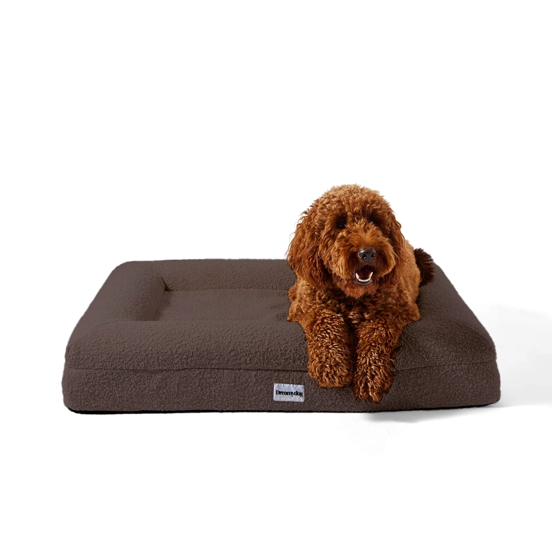 Orthopedic Dog Cushion - Bouclé Choco Brown