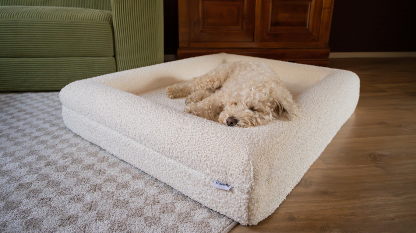 Dreamydog Hondenbed orthopedisch
