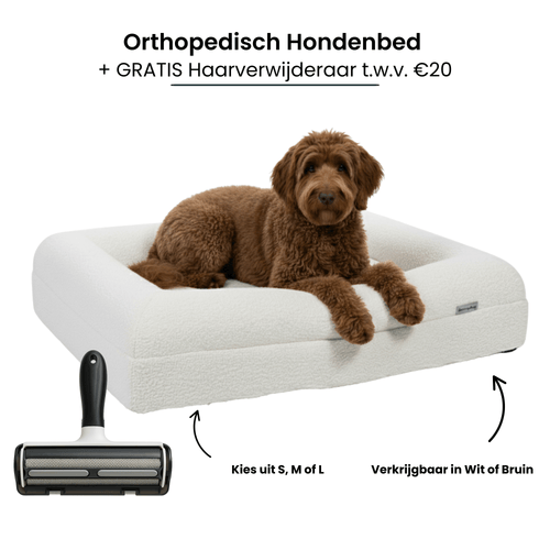 Hondenkussen Orthopedisch - Bouclé Wit + Haarverwijderaar Bundel