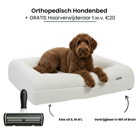 Orthopedic Dog Bed - Bouclé White