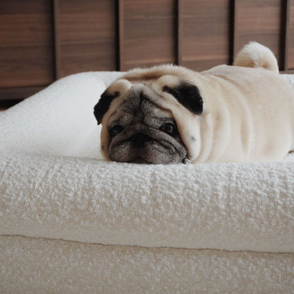 Orthopedic Dog Cushion - White Bouclé