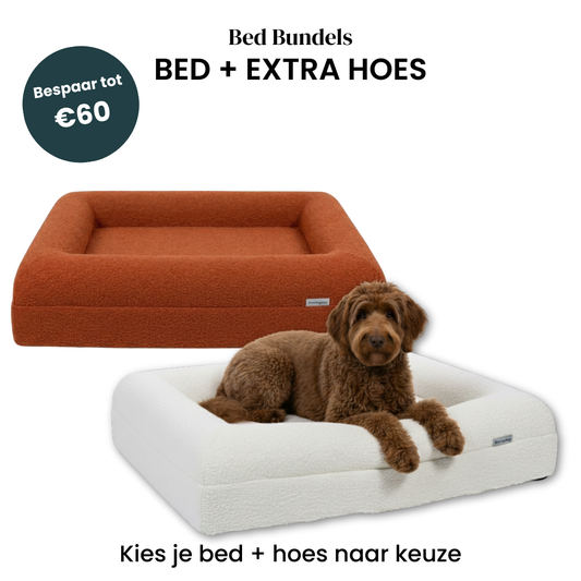 Dreamydog hondenbed bundel