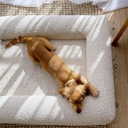 Doggobed