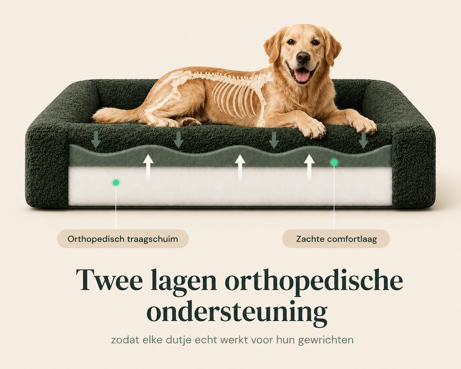 Waarom zoveel hondenmanden uiteindelijk teleurstellen.