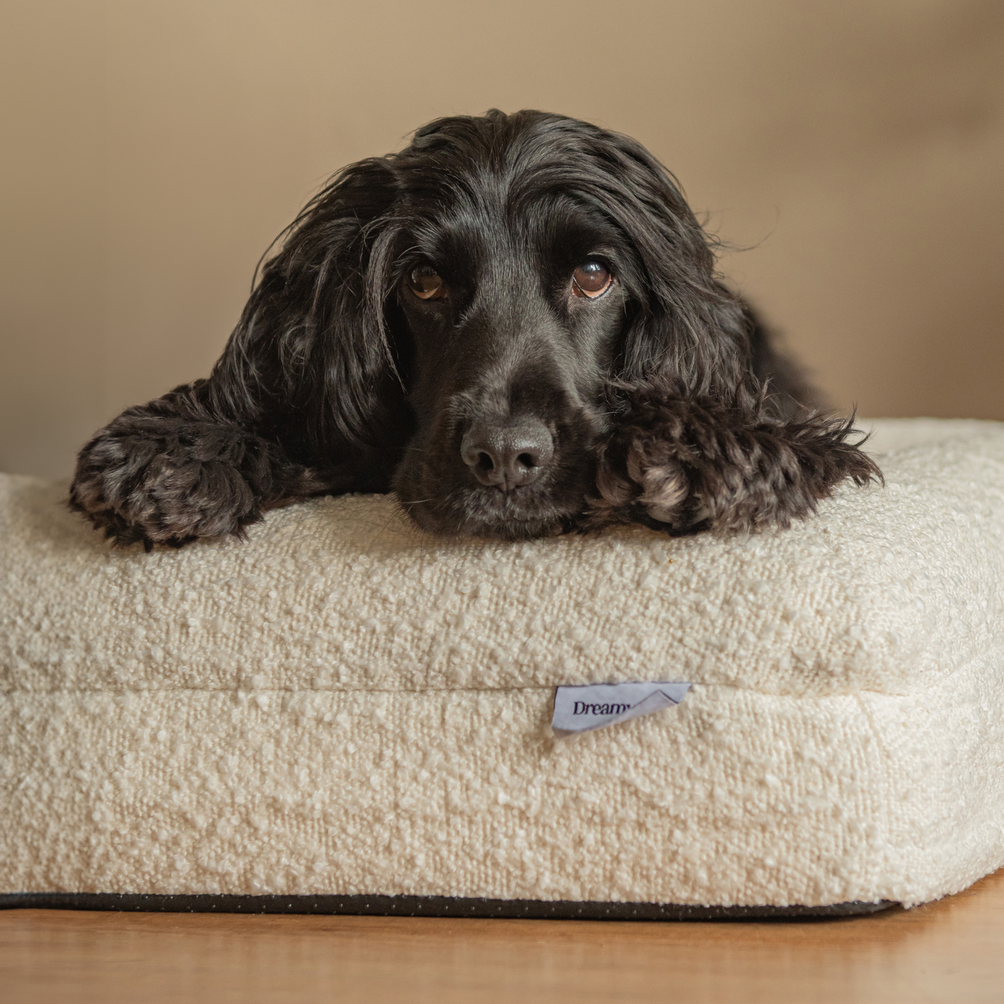 Orthopedic Dog Bed - White Bouclé