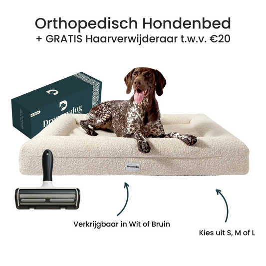 Hondenkussen Orthopedisch - Bouclé Wit + Haarverwijderaar Bundel