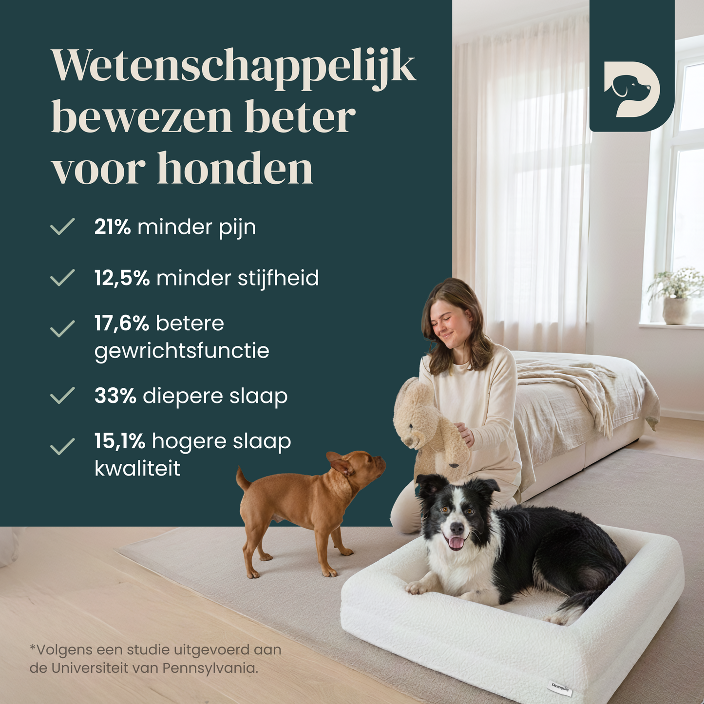 Orthopedic Dog Bed + Extra Cover Bundle