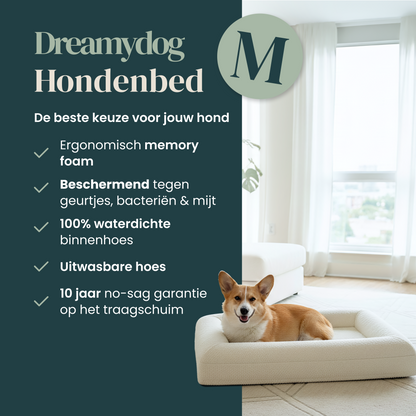 Orthopedic Dog Bed - White Bouclé