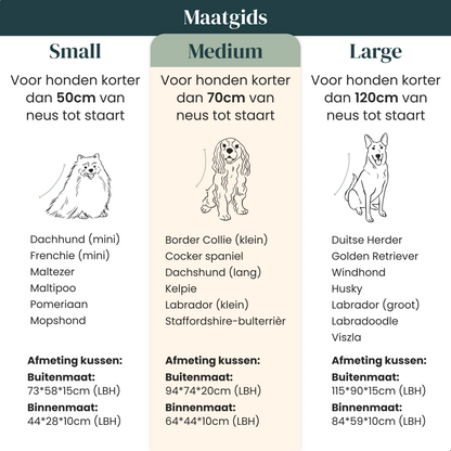 Orthopedic Dog Bed - Bouclé Choco Brown