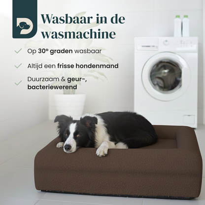 Orthopedic Dog Bed - Bouclé Choco Brown
