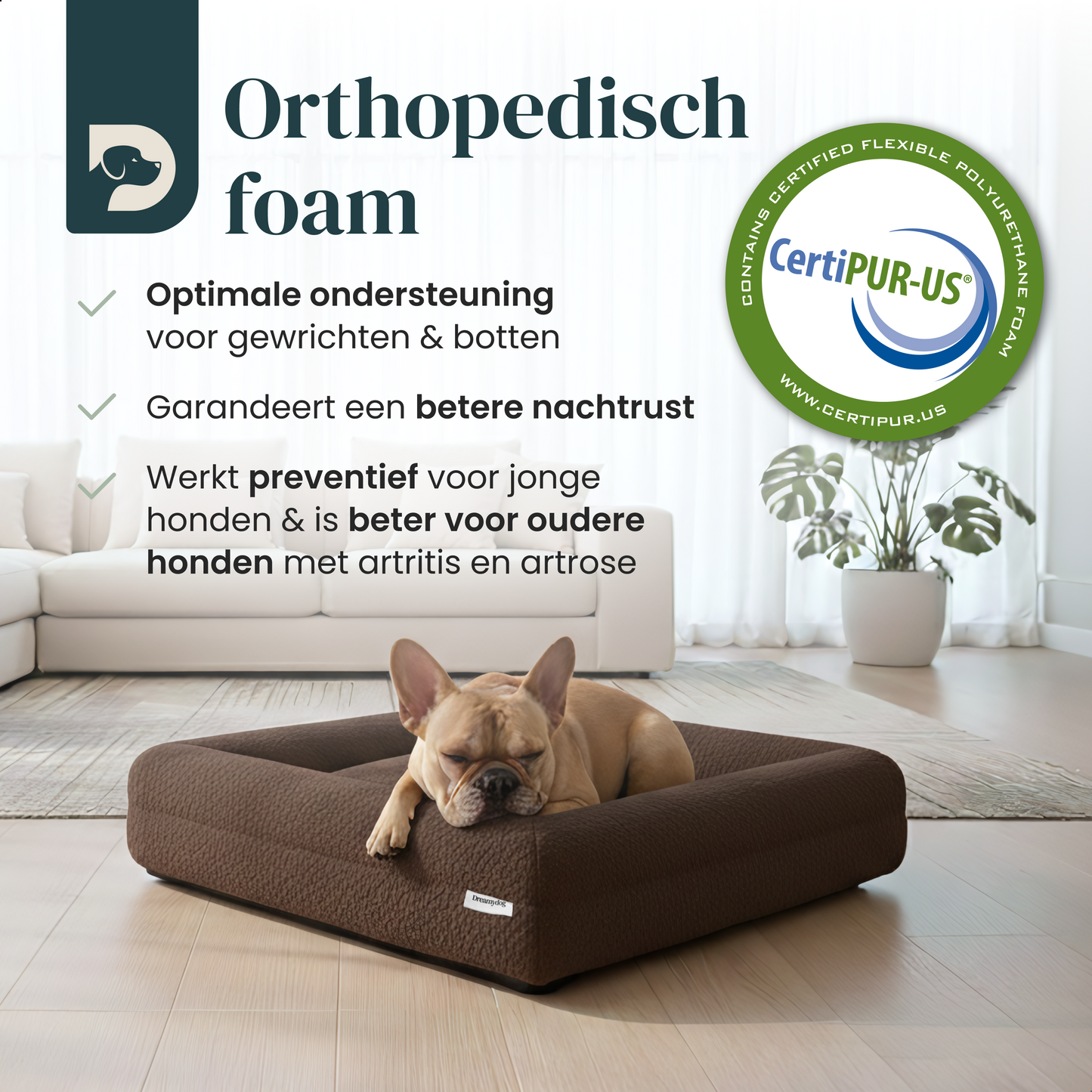 Orthopedic Dog Bed - Bouclé Choco Brown