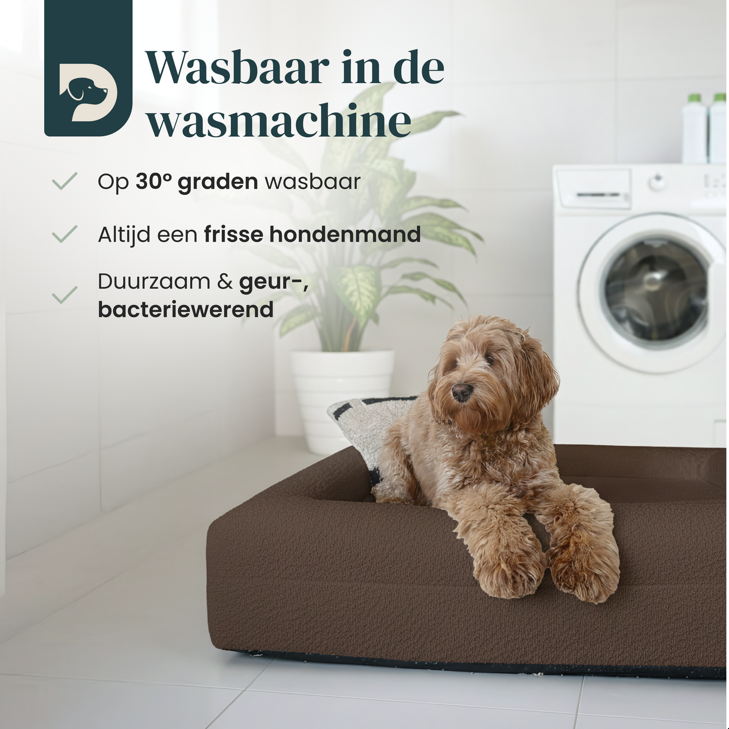 Orthopedic Dog Bed + Extra Cover Bundle