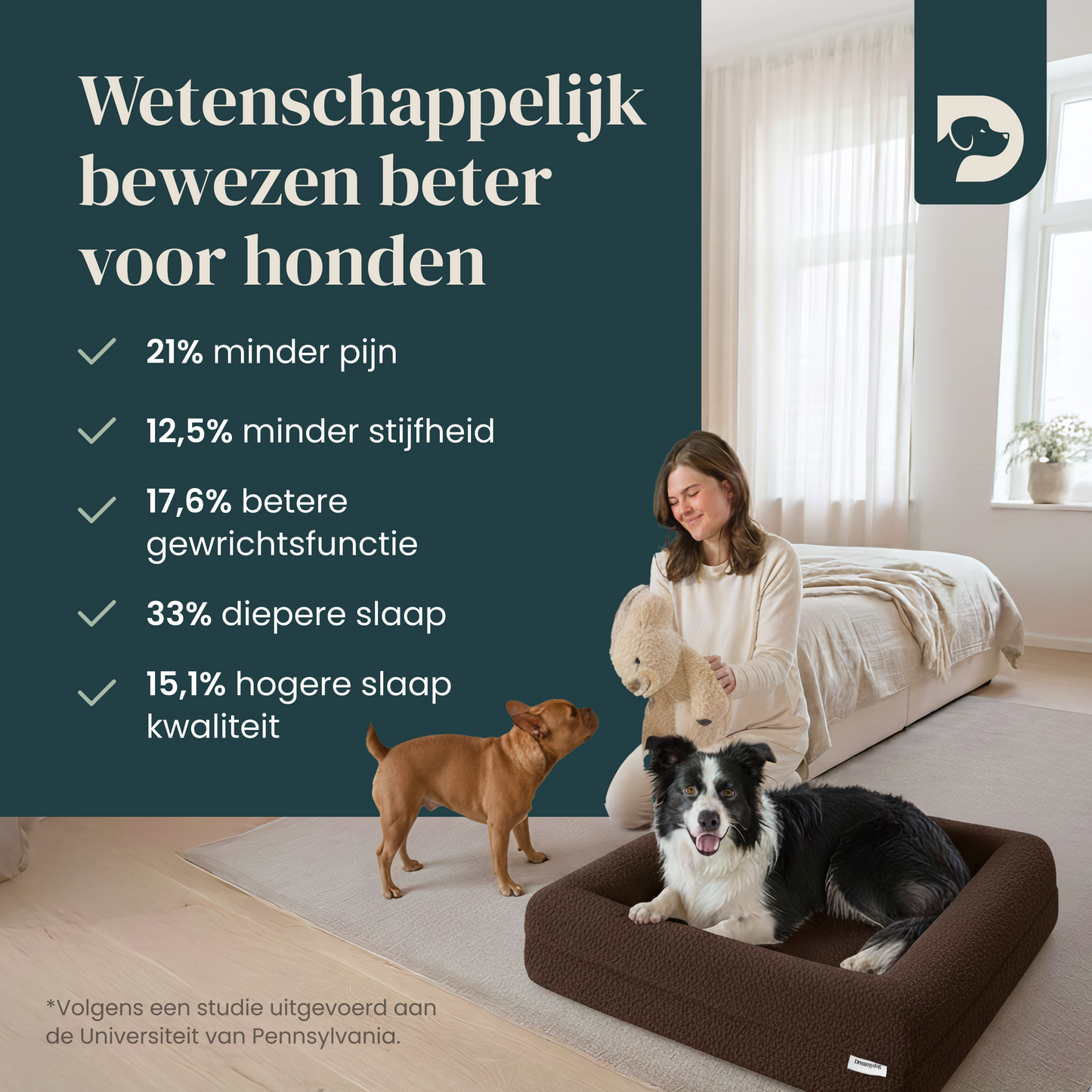 Orthopedic Dog Bed - Bouclé Choco Brown