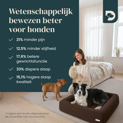Orthopedic Dog Bed - Bouclé Choco Brown