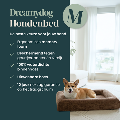 Orthopedic Dog Bed - Bouclé Choco Brown