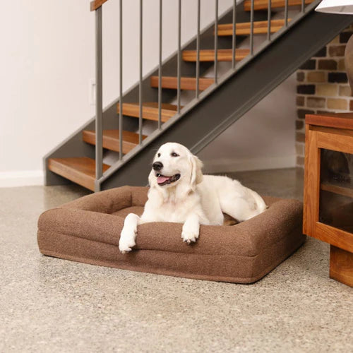 Orthopedic Dog Bed - Bouclé Choco Brown