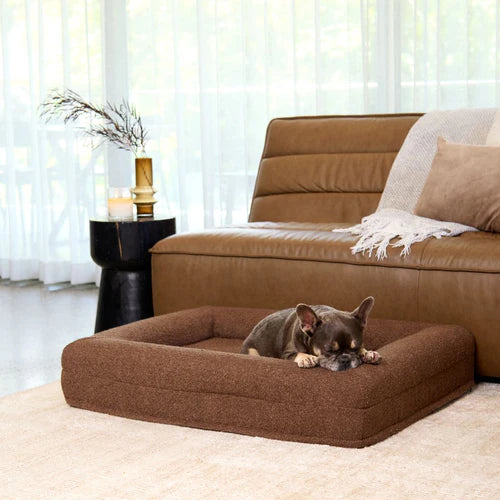 Orthopedic Dog Bed - Bouclé Choco Brown