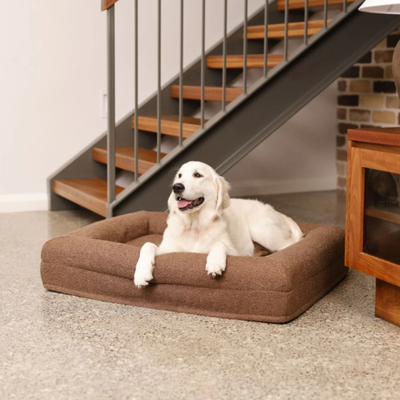 Orthopedic Dog Cushion - Bouclé Choco Brown