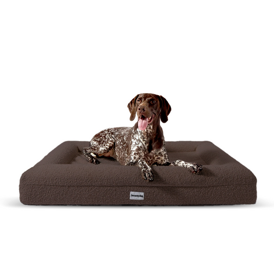 Hondenkussen Orthopedisch - Bouclé Choco Bruin