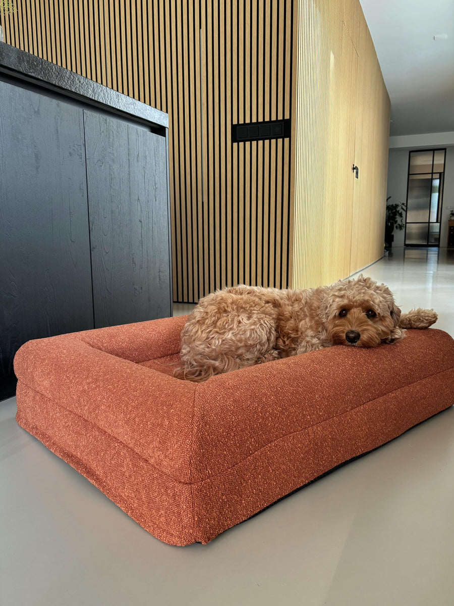 dreamydog orthopedisch hondenkussen terracotta