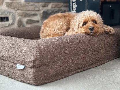 Hoes - Bouclé Choco Bruin - Dreamydog - Hoes