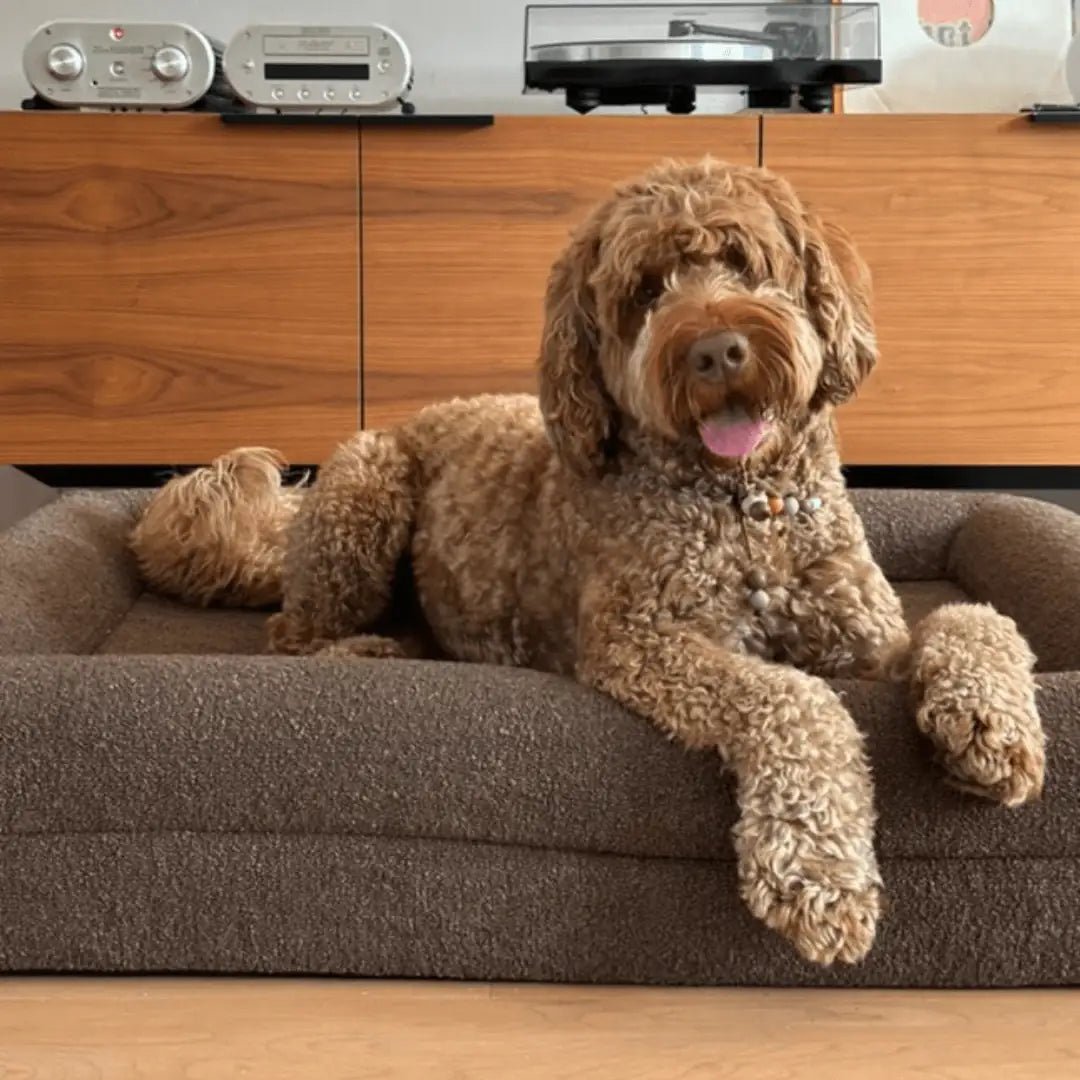 Hoes - Bouclé Choco Bruin - Dreamydog - Hoes