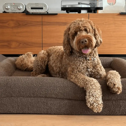 Hoes - Bouclé Choco Bruin - Dreamydog - Hoes