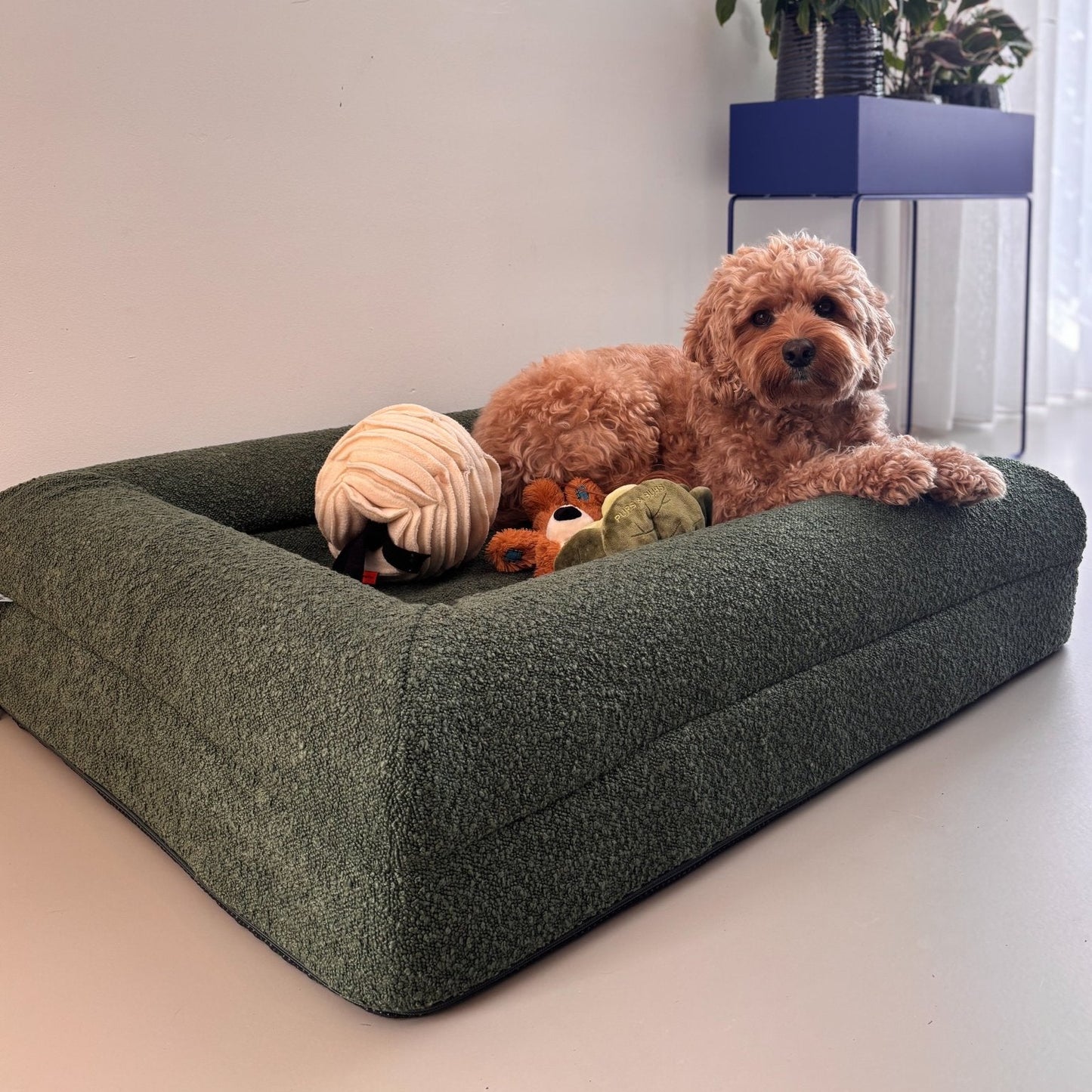 Hoes - Bouclé Forest Green - Dreamydog - Hoes