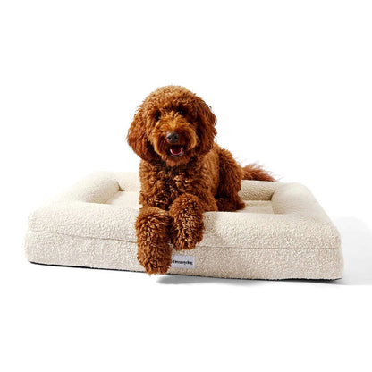 Hoes - Bouclé Wit - Dreamydog - Hoes