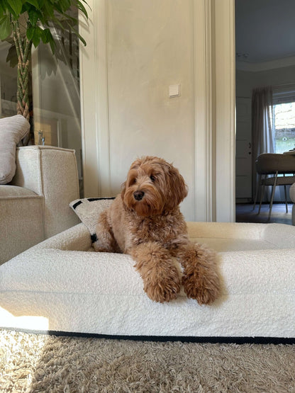 Hoes - Bouclé Wit - Dreamydog - Hoes