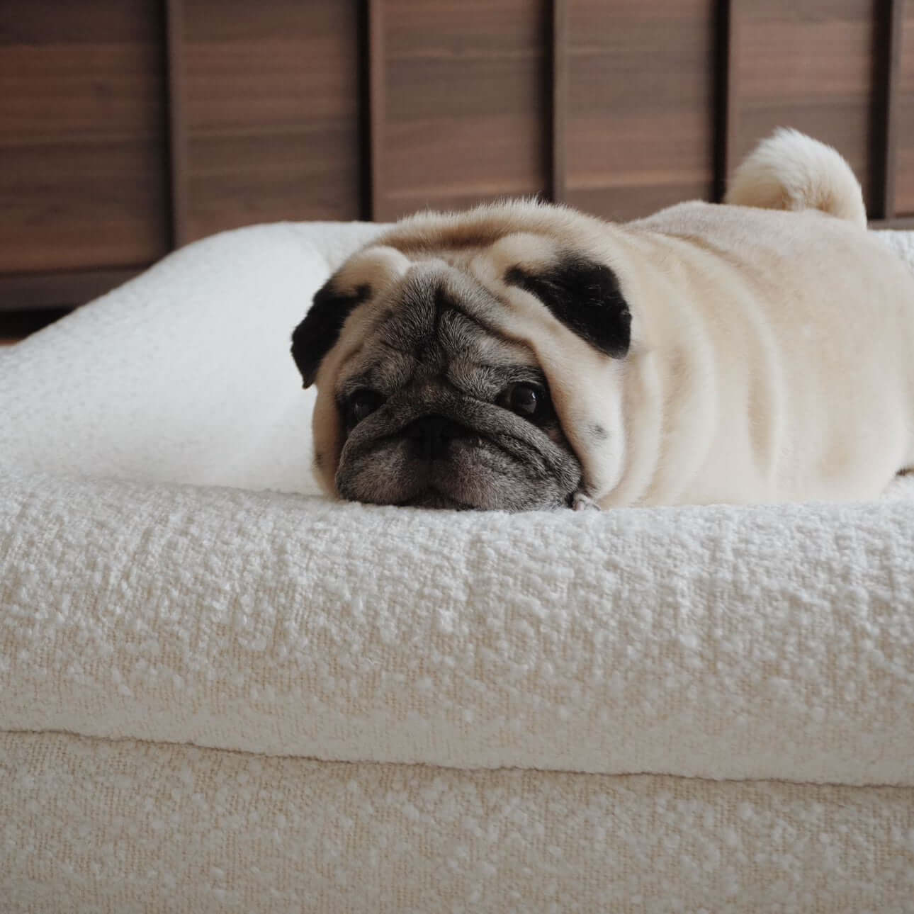 Hoes - Bouclé Wit - Dreamydog - Hoes