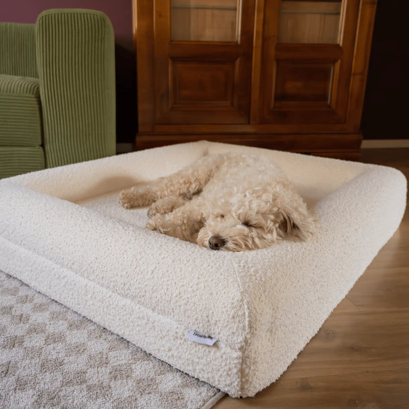Hoes - Bouclé Wit - Dreamydog - Hoes