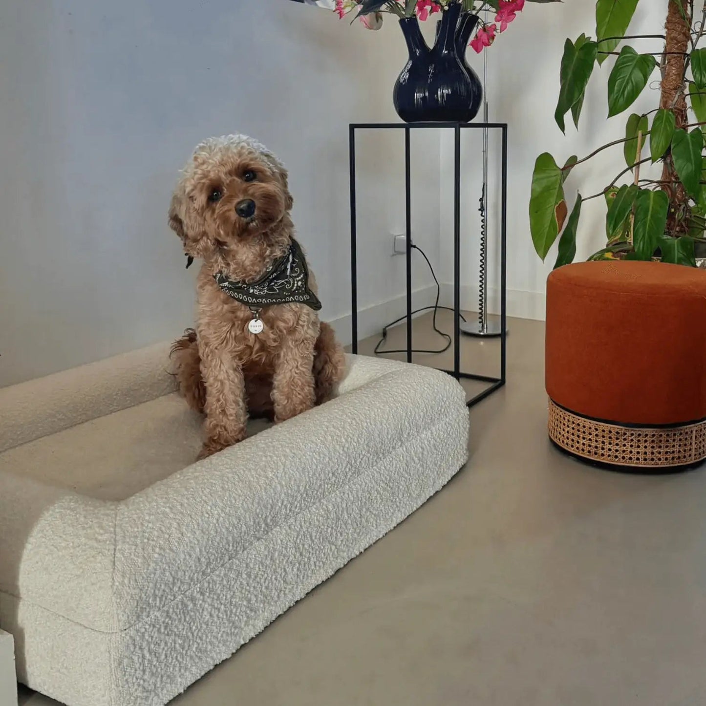 Hoes - Bouclé Wit - Dreamydog - Hoes