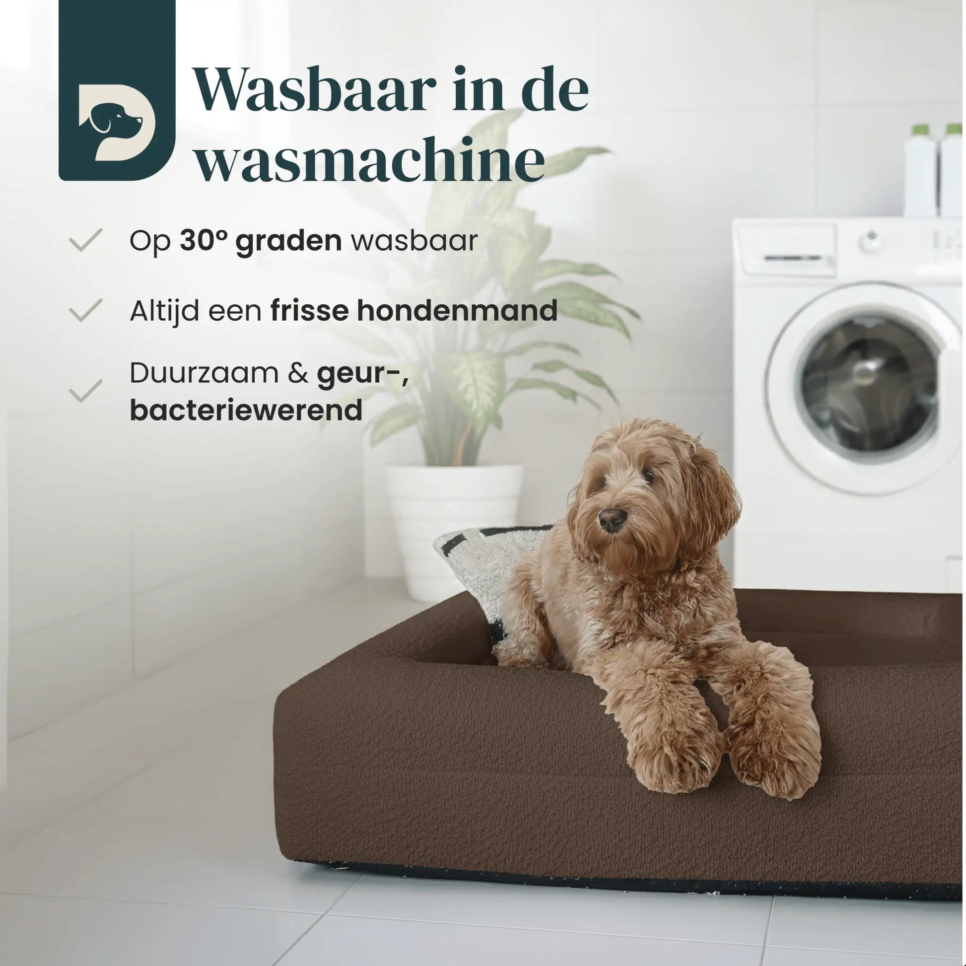 Hondenkussen Orthopedisch + Extra Hoes Bundel - Dreamydog - 