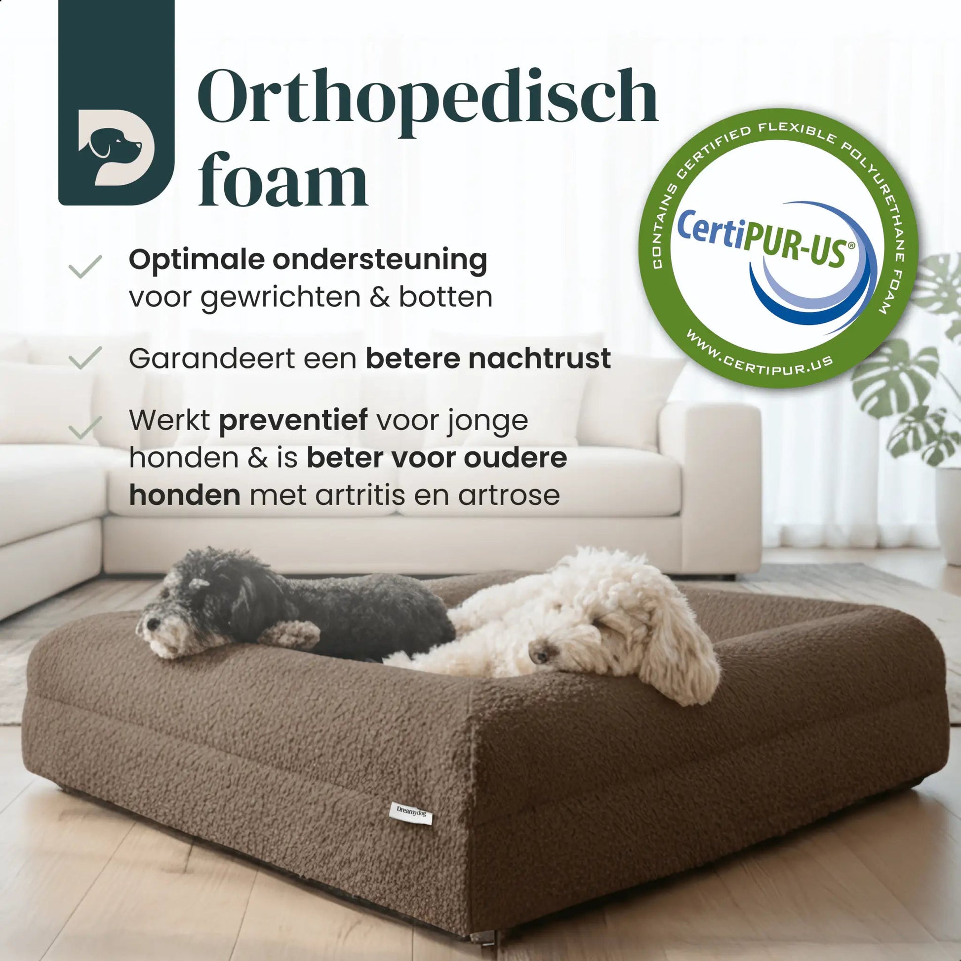 Hondenkussen Orthopedisch + Extra Hoes Bundel - Dreamydog - 