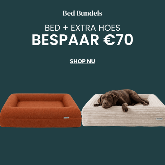 Hondenkussen Orthopedisch + Extra Hoes Bundel - Dreamydog - 