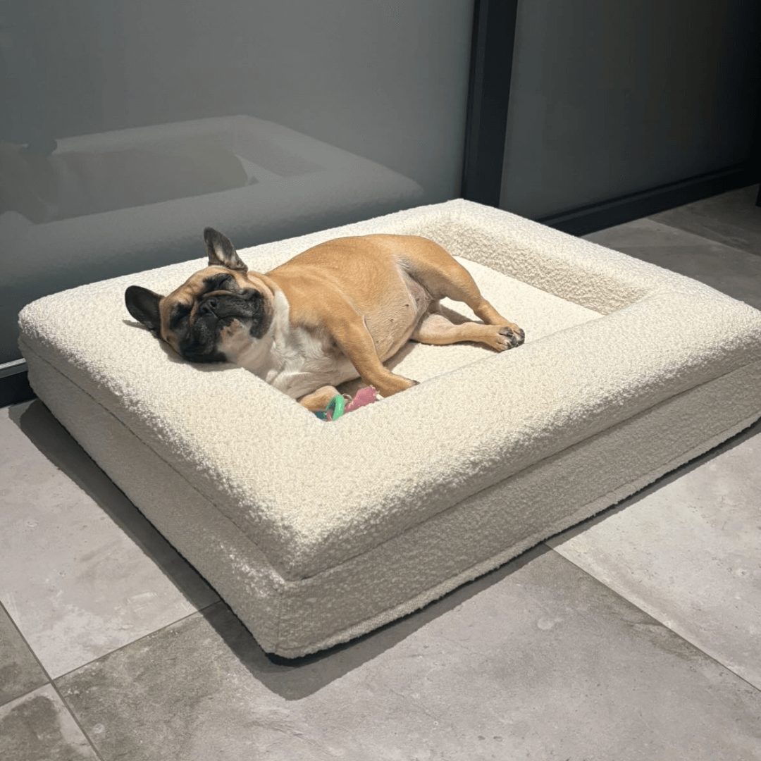 Hondenkussen Orthopedisch + Extra Hoes Bundel - Dreamydog - 