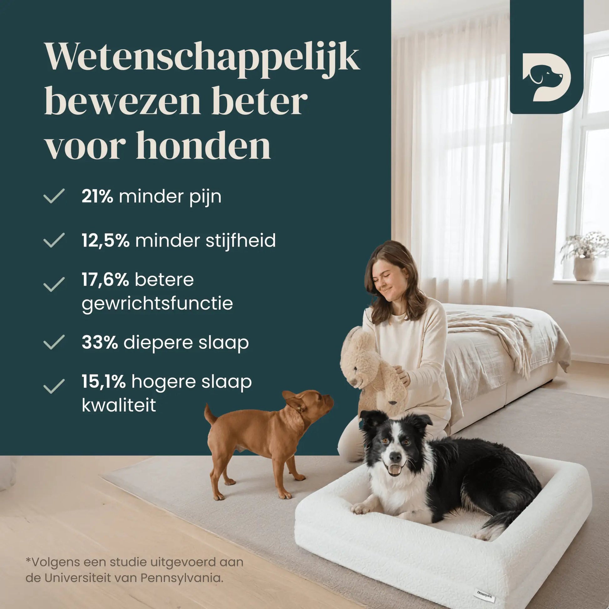 Hondenkussen Orthopedisch + Extra Hoes Bundel - Dreamydog - 