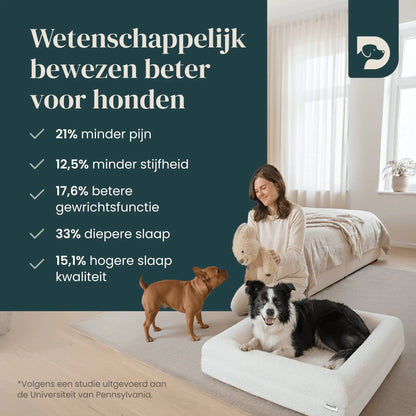 Hondenkussen Orthopedisch + Extra Hoes Bundel - Dreamydog - 