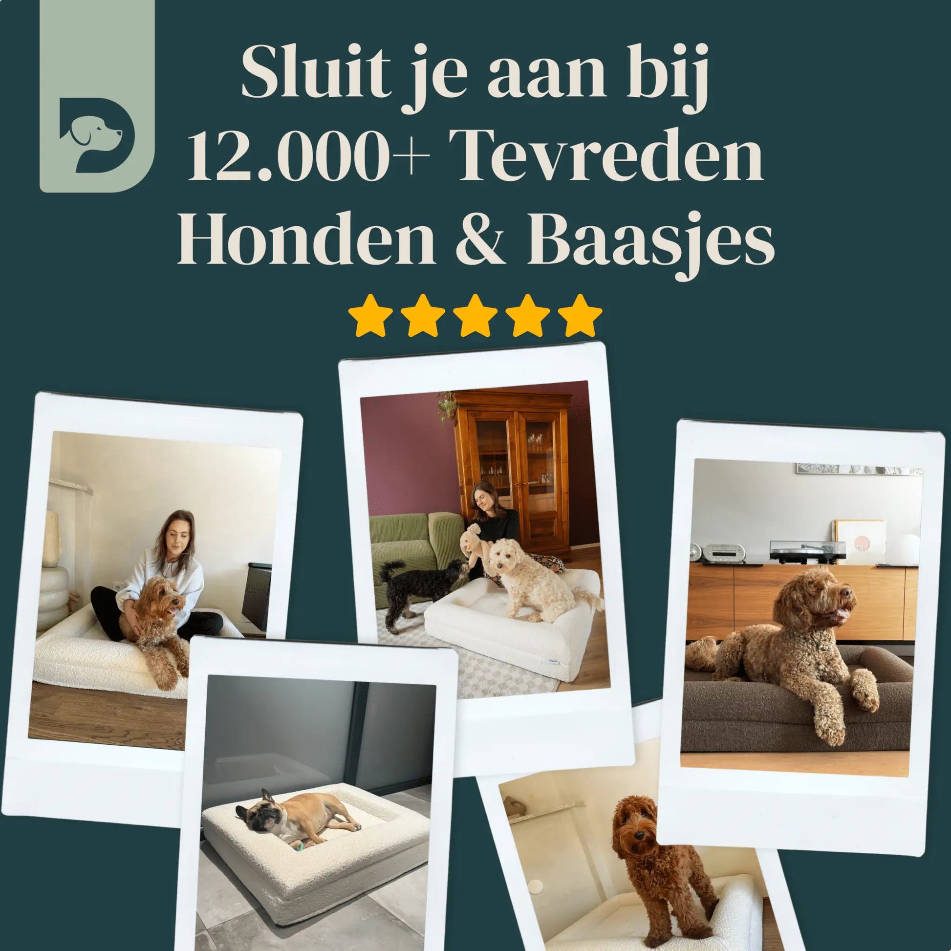 Orthopedisch hondenkussen - Bouclé Choco Bruin - Dreamydog - Hondenkussen