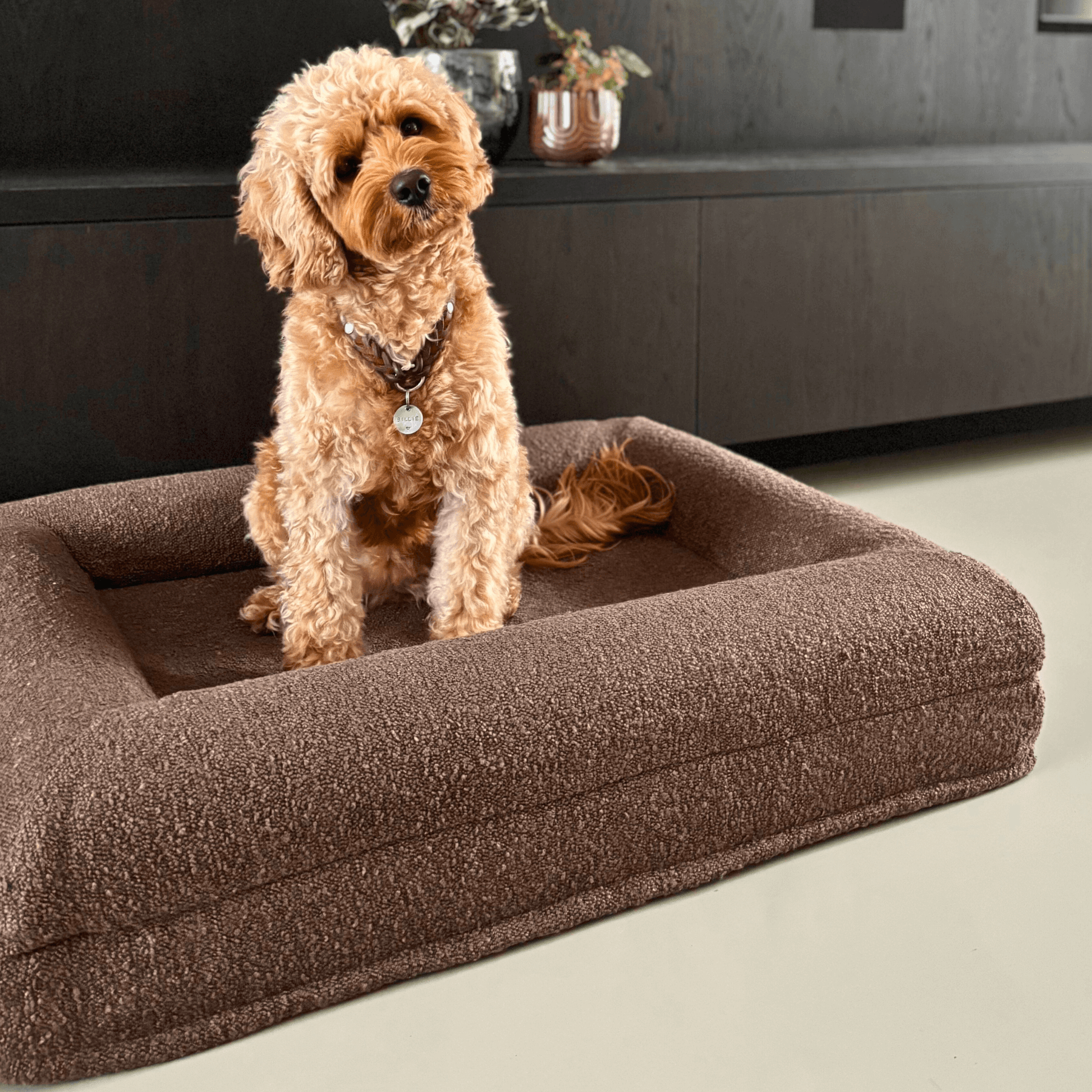Orthopedisch hondenkussen - Bouclé Choco Bruin - Dreamydog - Hondenkussen