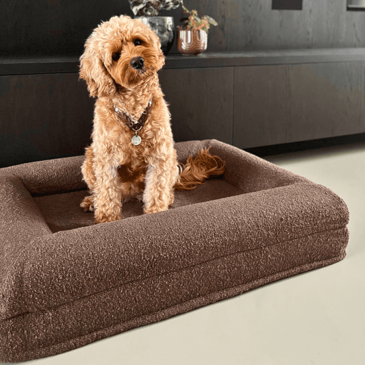 Orthopedisch hondenkussen - Bouclé Choco Bruin - Dreamydog - Hondenkussen