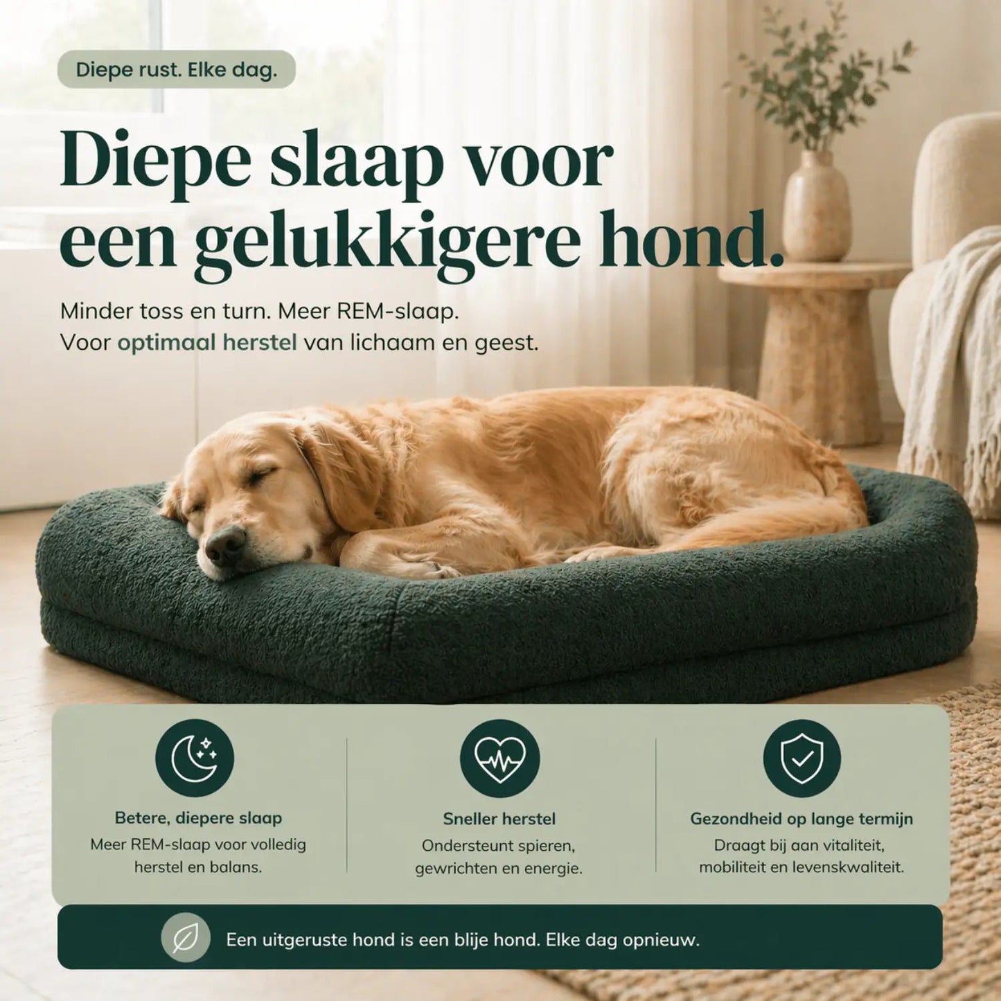 Orthopedisch hondenkussen - Bouclé Forest Green - Dreamydog - Hondenkussen