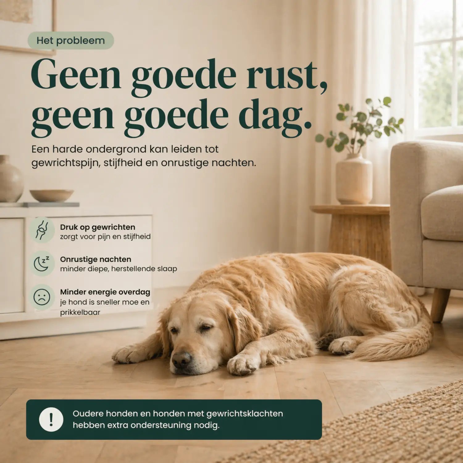 Orthopedisch hondenkussen - Bouclé Forest Green - Dreamydog - Hondenkussen